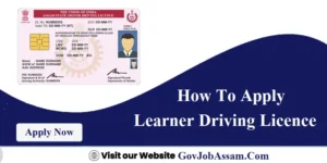 Learner Driving Licence