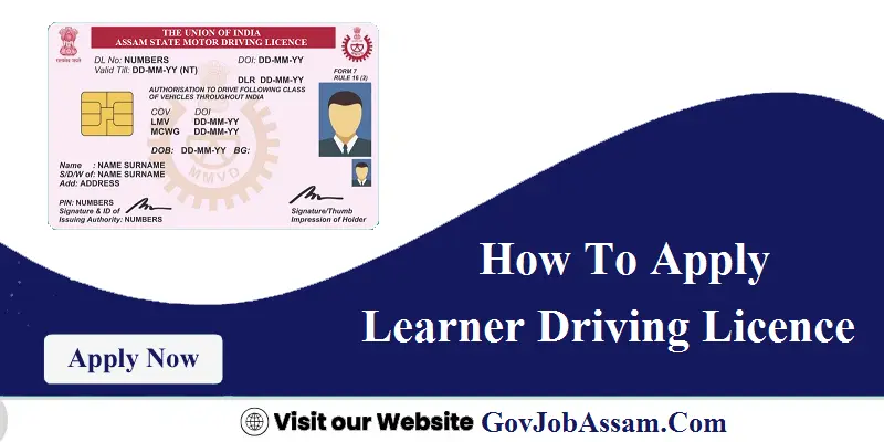 Learner Driving Licence