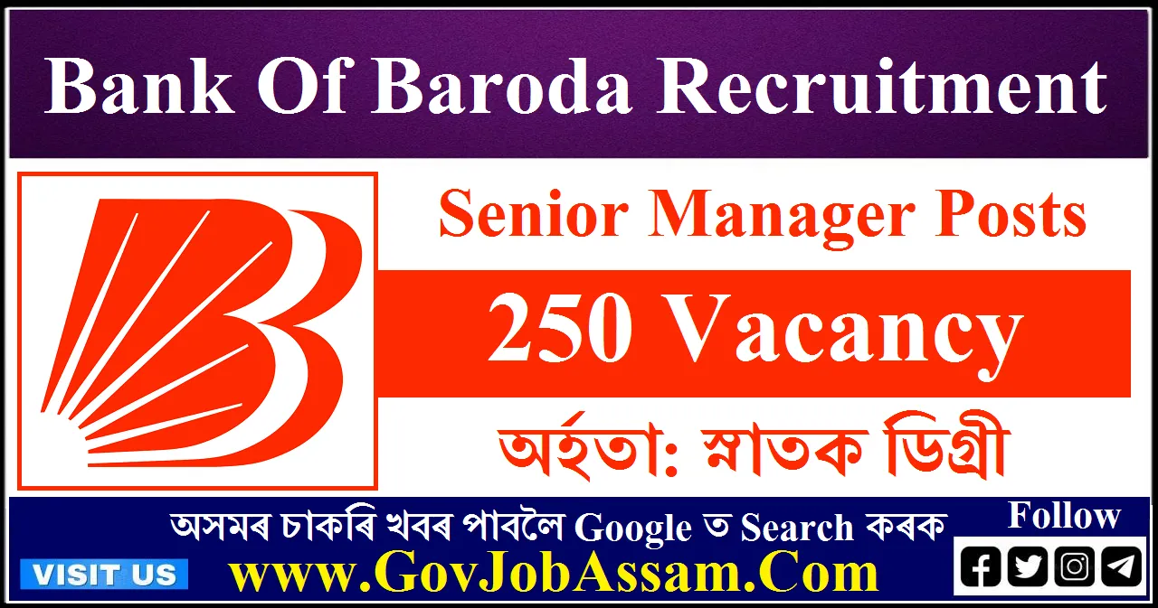 Bank Of Baroda Recruitment 2023 – 250 Senior Manager Vacancy, Apply Now ...