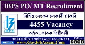 IBPS PO / MT Recruitment 2024